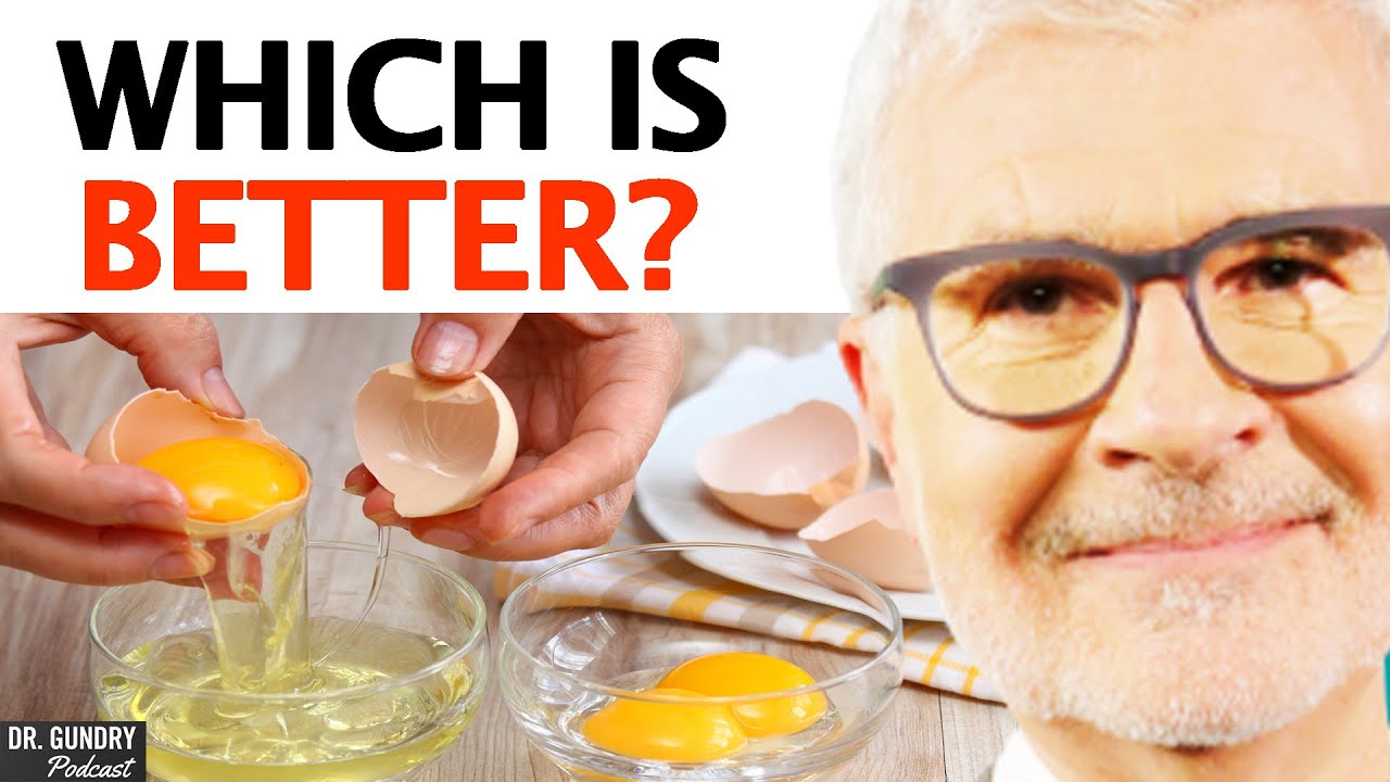 Eat Egg Whites Vs Egg Yolks? - WHICH ONE You Should Eat! | Dr. Steven Gundry