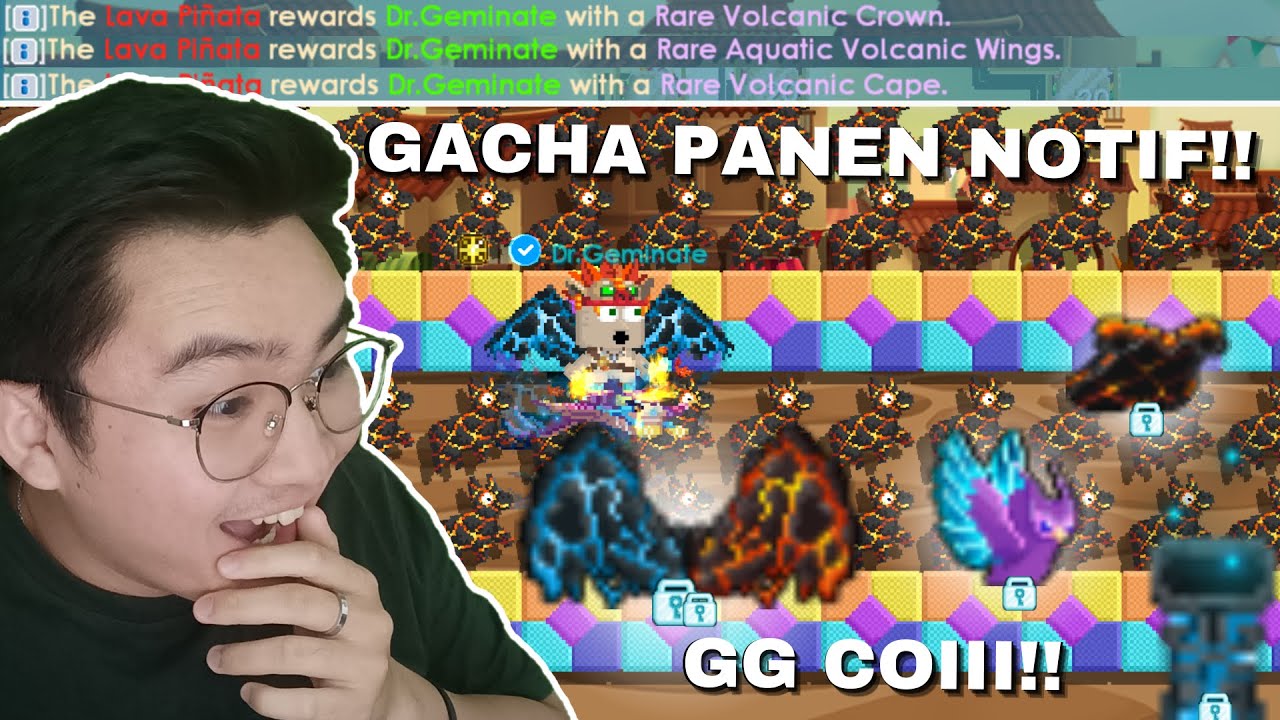 GACHA LAVA PINATA PANEN NOTIF GESS!! GG COIII | Growtopia Cinco De Mayo 2025