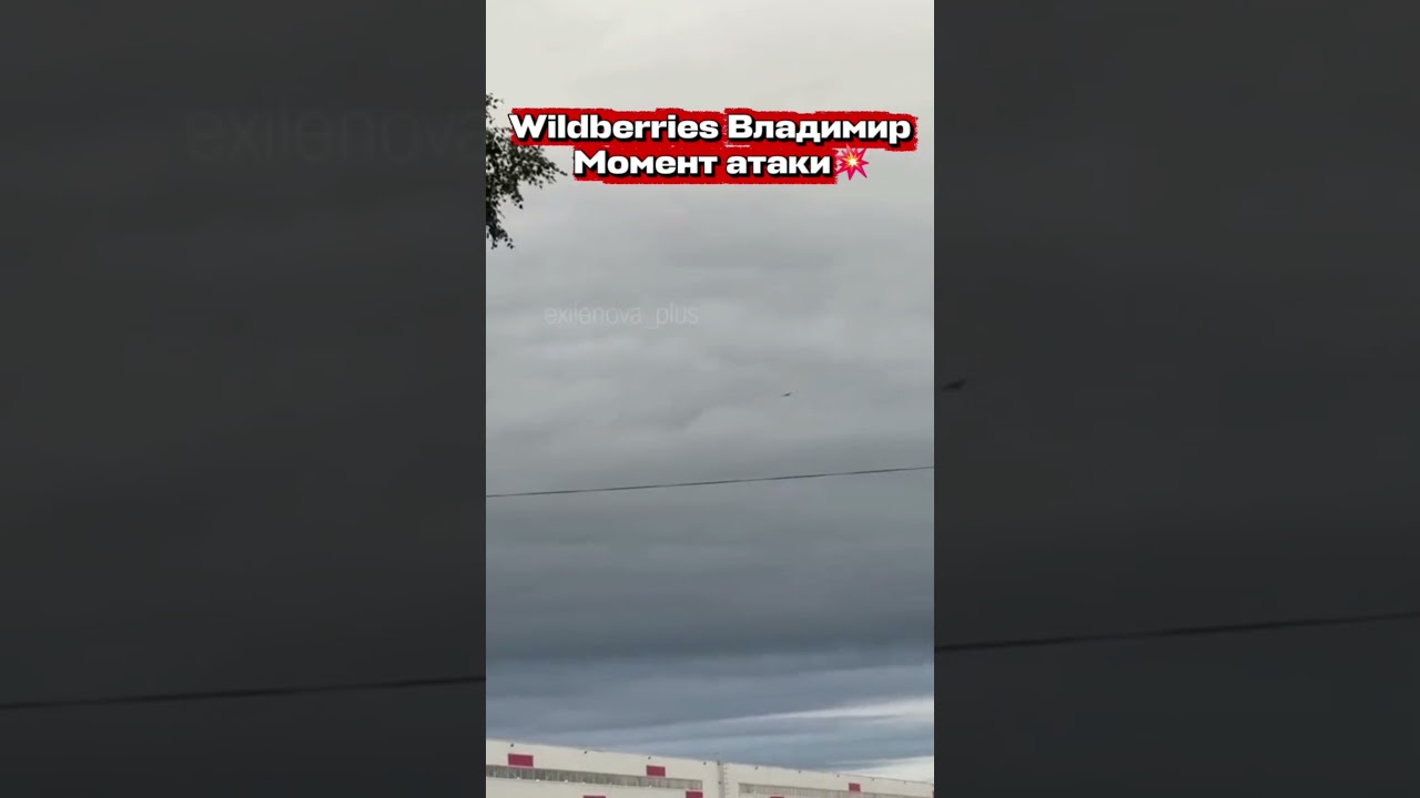 Wildberries Владимир... Момент атаки💥