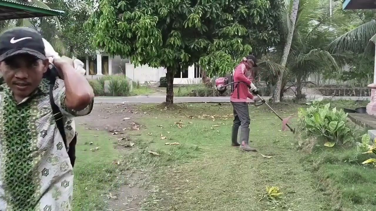 Rutinitas Mingguan: Potong Rumput Halaman Rumah Biar Selalu Rapi (part1) 