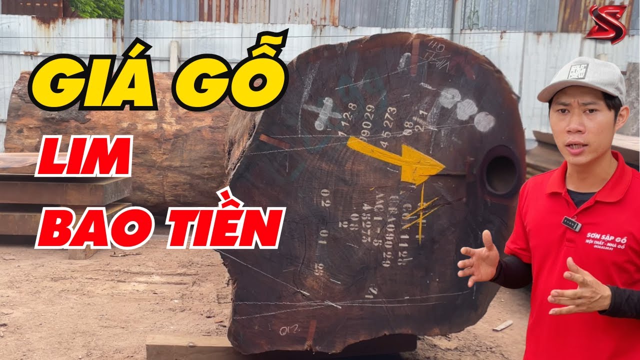 Gỗ lim xanh có thật sự đắt như lời đồn !| Sơn Sập Gỗ