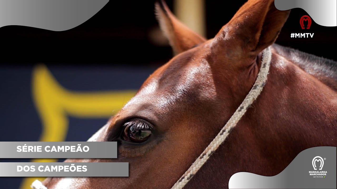 A TRAJET&Oacute;RIA DE UM CAMPE&Atilde;O NACIONAL - EPIS&Oacute;DIO 08 - VIENA DA RIOCON