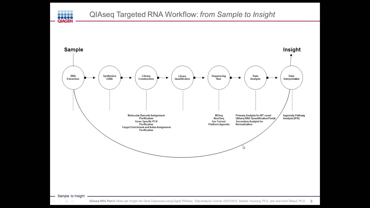 Molecular insight into Gene Expression Using Digital RNAseq: Digital RNAseq Webinar Part 3