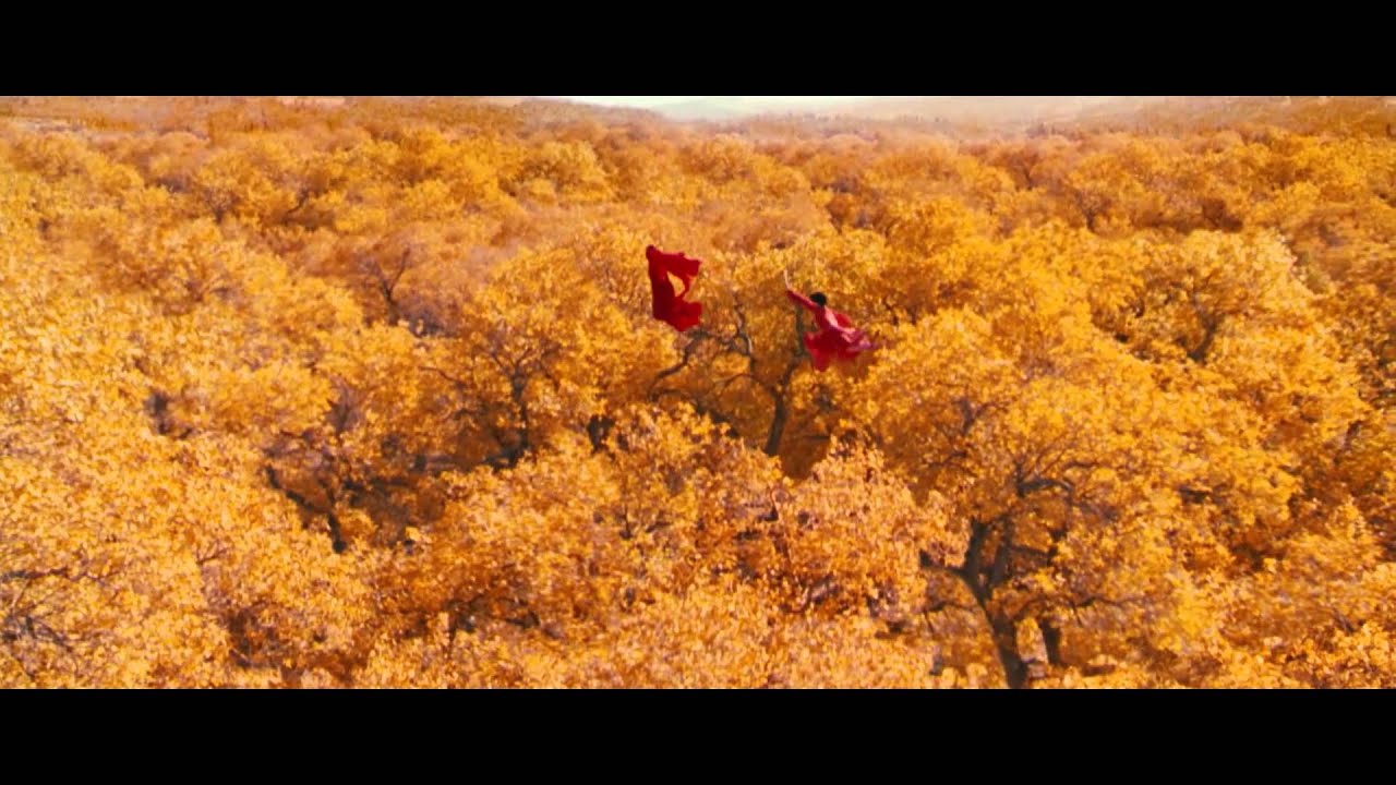 Zhang Yimou Homage