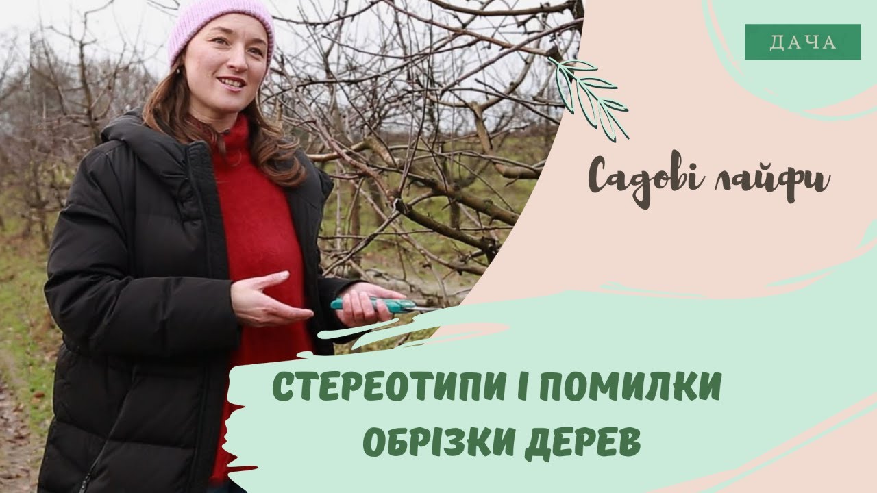 Стереотипи і Помилки Обрізки Дерев. Корисні Поради для Садівників.