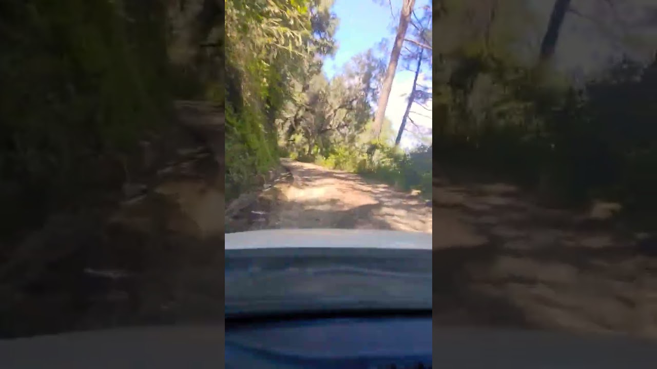 &ldquo;Exploring the Breathtaking Pahadi Roads | Scenic Mountain Road Trip&rdquo;