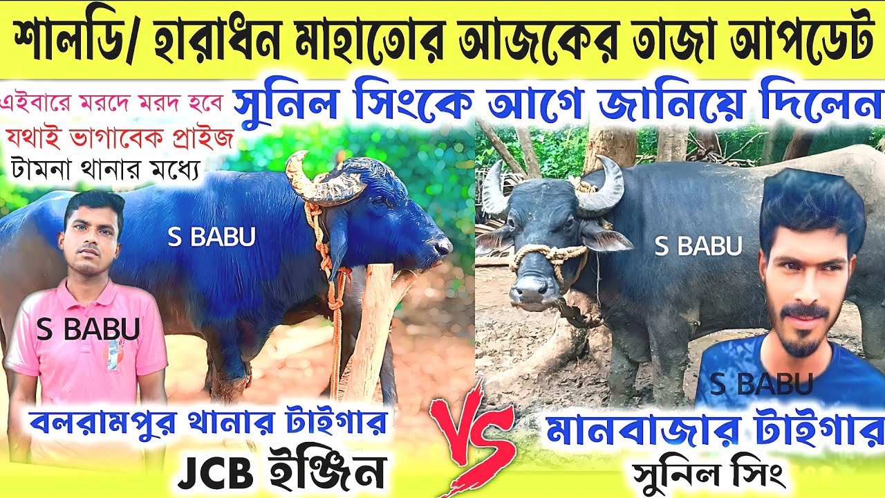 শালডি/ হারাধন মাহাতোর আজকের তাজা আপডেট👉সুনিল সিংকে আগে জানিয়ে দিলেন✴️যথাই ভাগাবেক প্রাইজ
