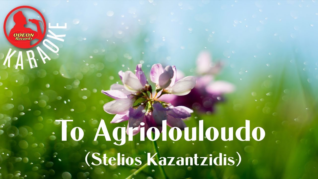TO AGRIOLOULOUDO - (Professional Karaoke) Odeon Karaoke [Stelios Kazantzidis]