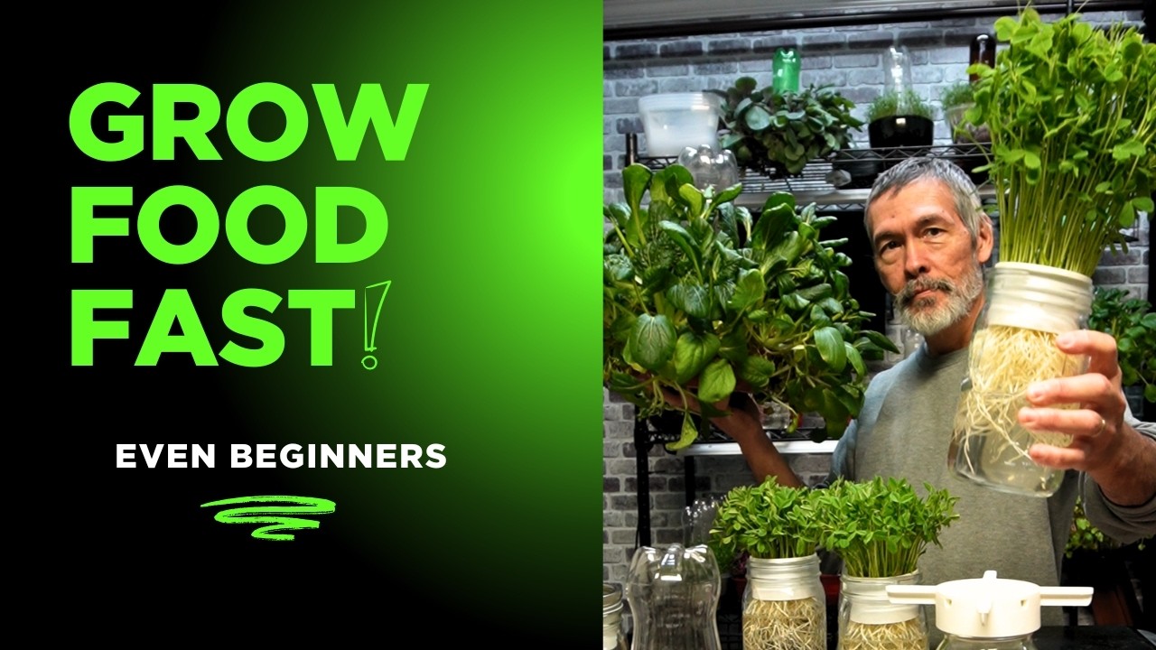 You Can Grow Food Fast and Easy