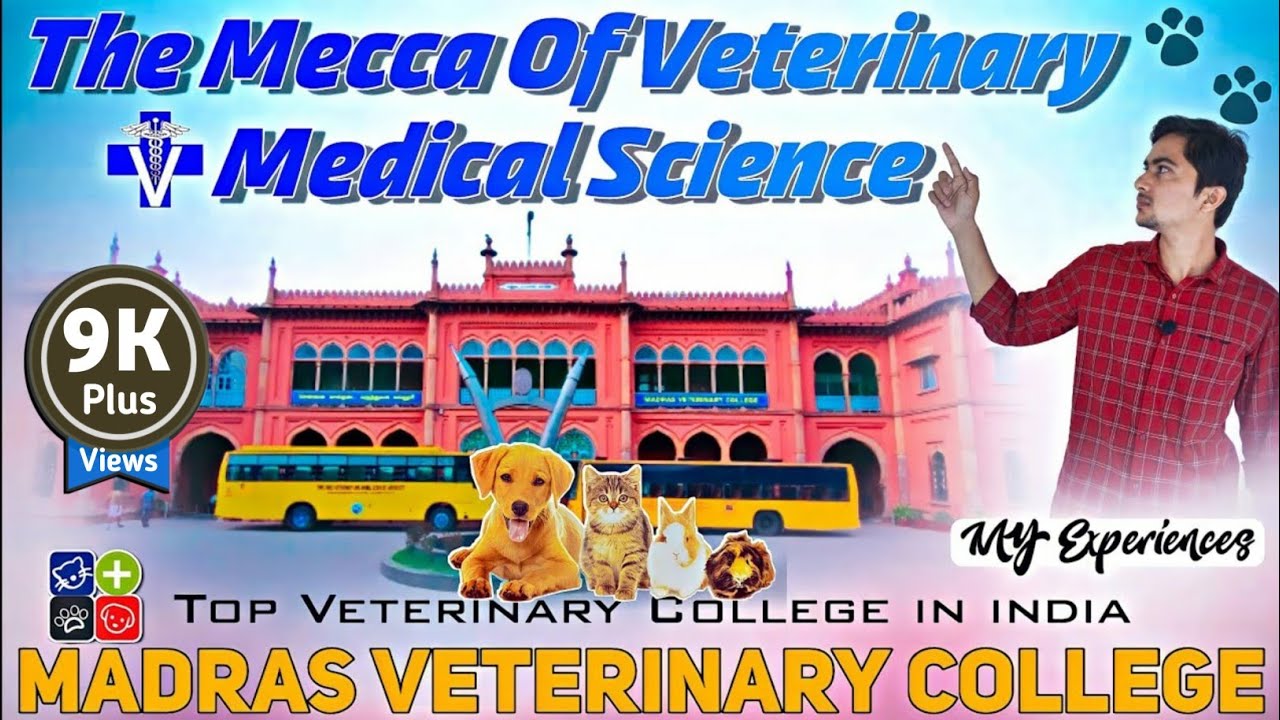 Madras Veterinary College Vlog ||TANUVAS | Top Veterinary College In india  || Veterinary Colleges