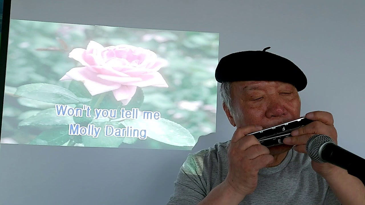 Molly Darling. 망향 /  하모니카연주. Harmonica.ver