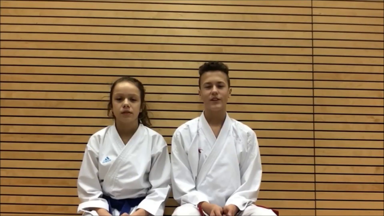 Blick der Jugend auf den Berliner TSC e.V. - Abteilung Karate