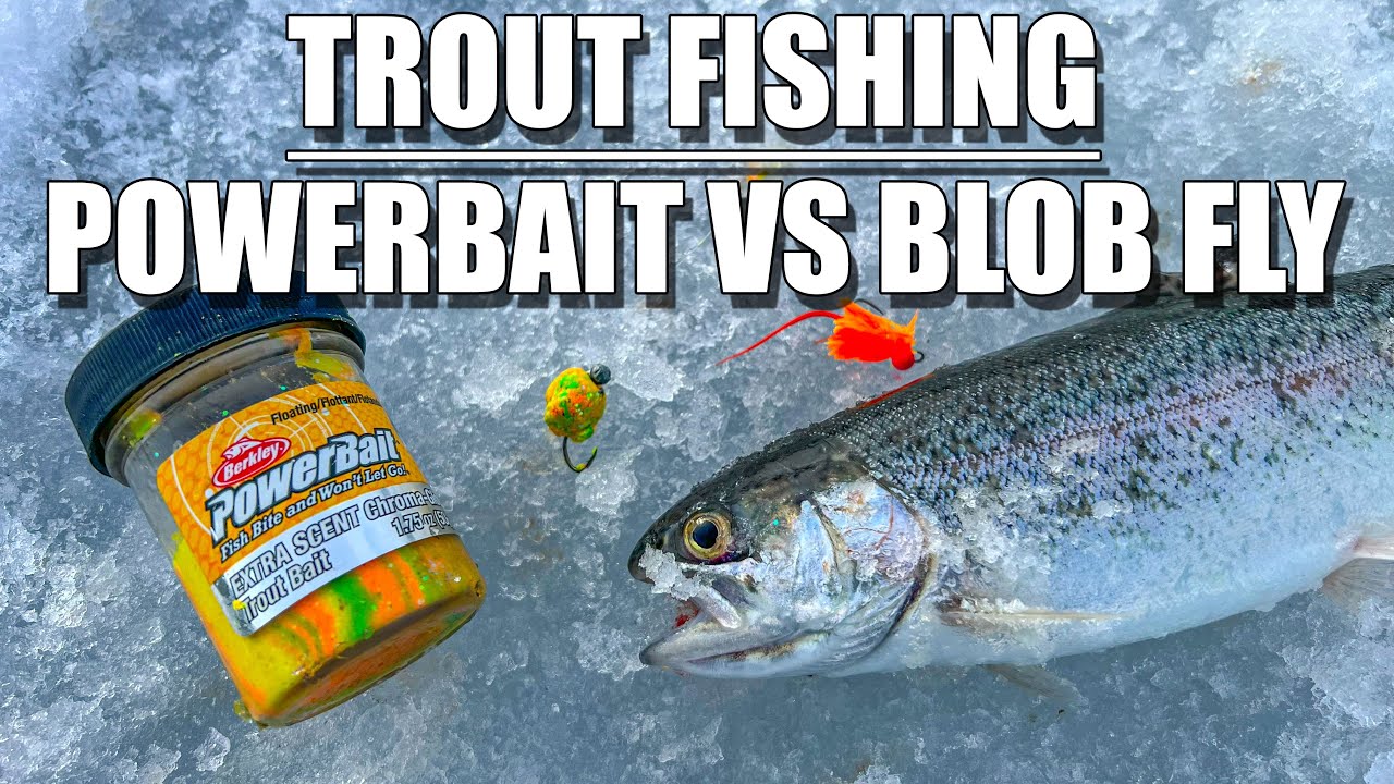 PowerBait vs Blob Flies for Trout