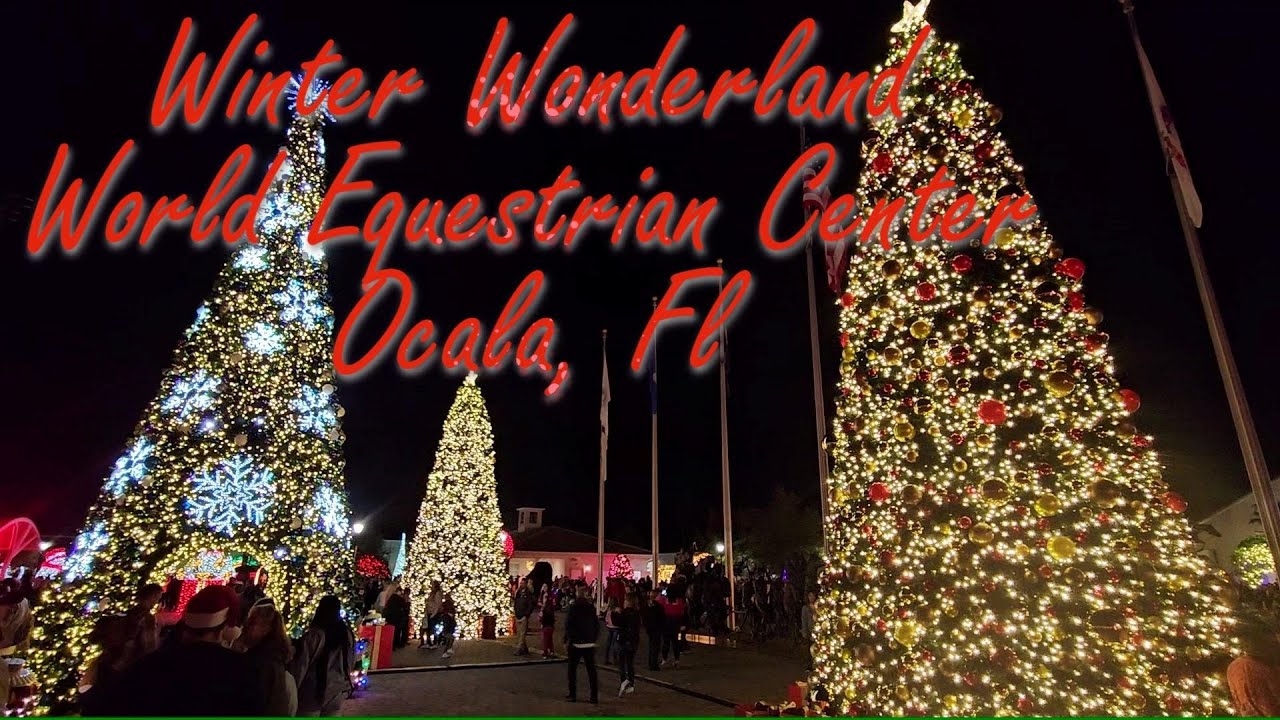 Winter Wonderland at World Equestrian Center in Ocala, Florida.