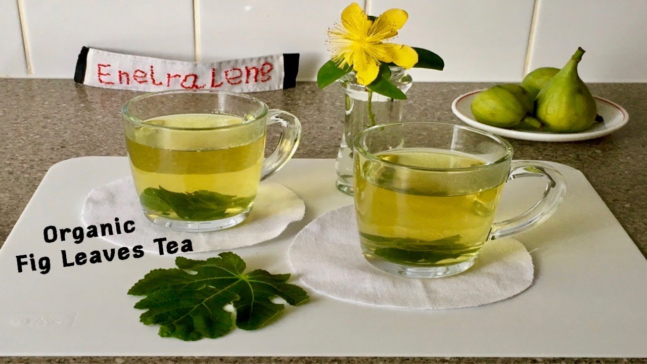 How to make Fresh Fig Leaves Tea