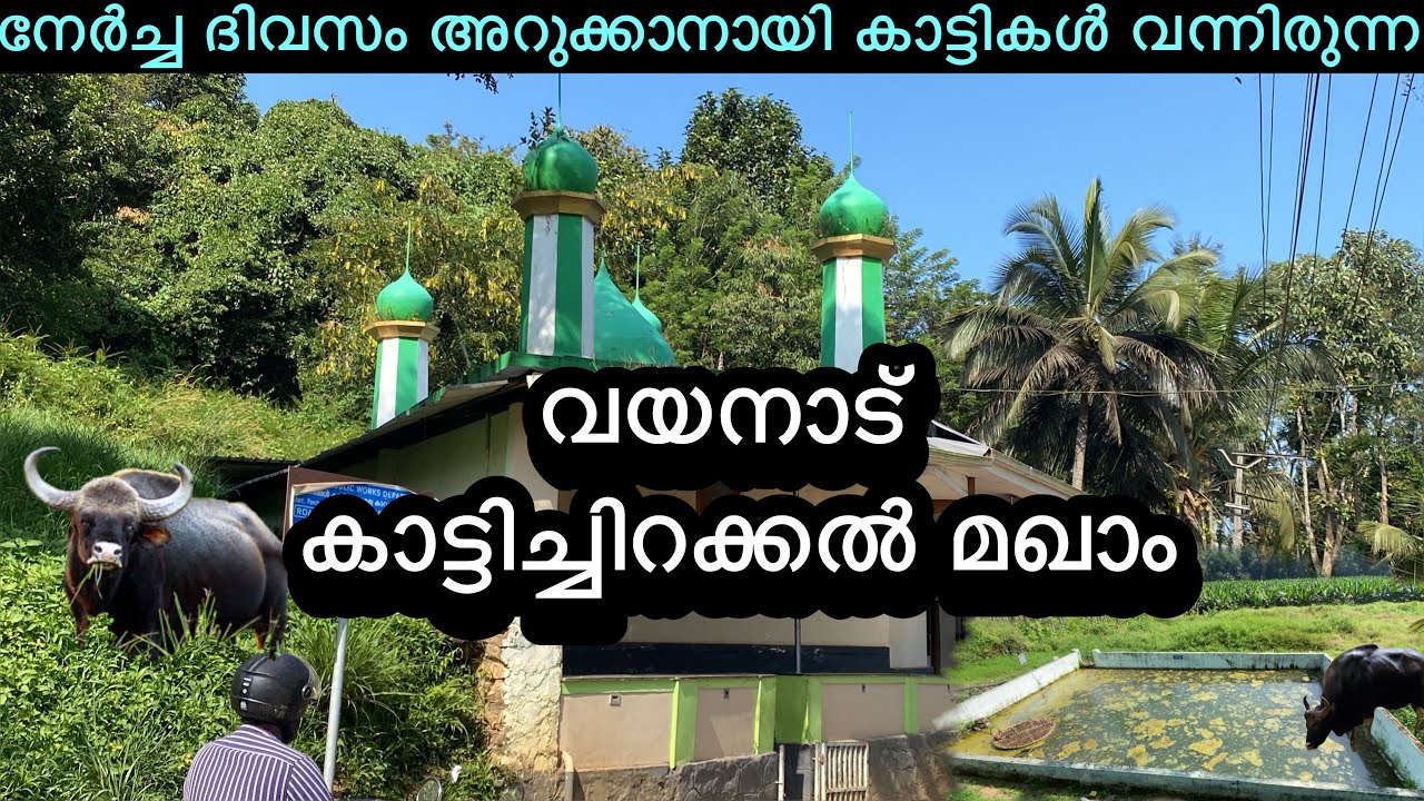 നേർച്ച ദിവസം അറുക്കാനായി കാട്ടികൾ സ്വയം വന്നിരുന്ന വയനാട്ടിലെ കാട്ടിച്ചിറക്കൽ മഖാം
