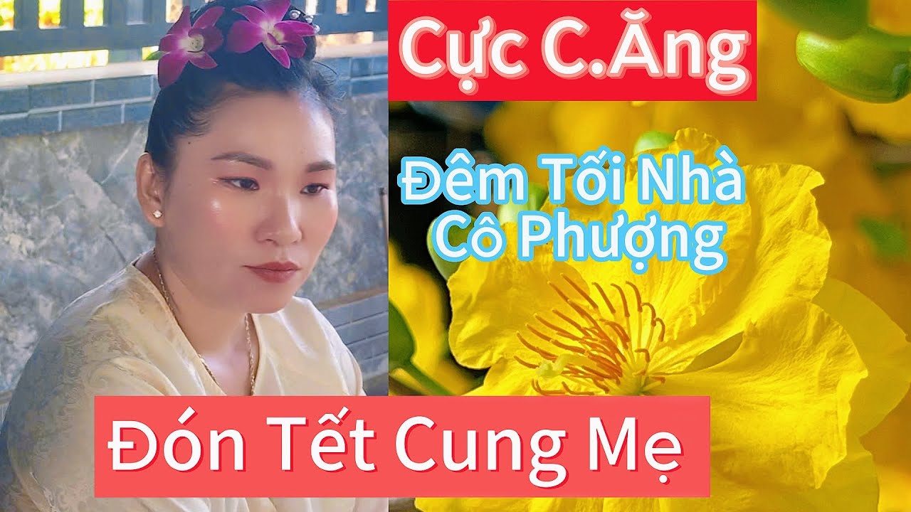 P111.Khuya Mùng 3 Cung Cô Phượng _C.ăng Thật
