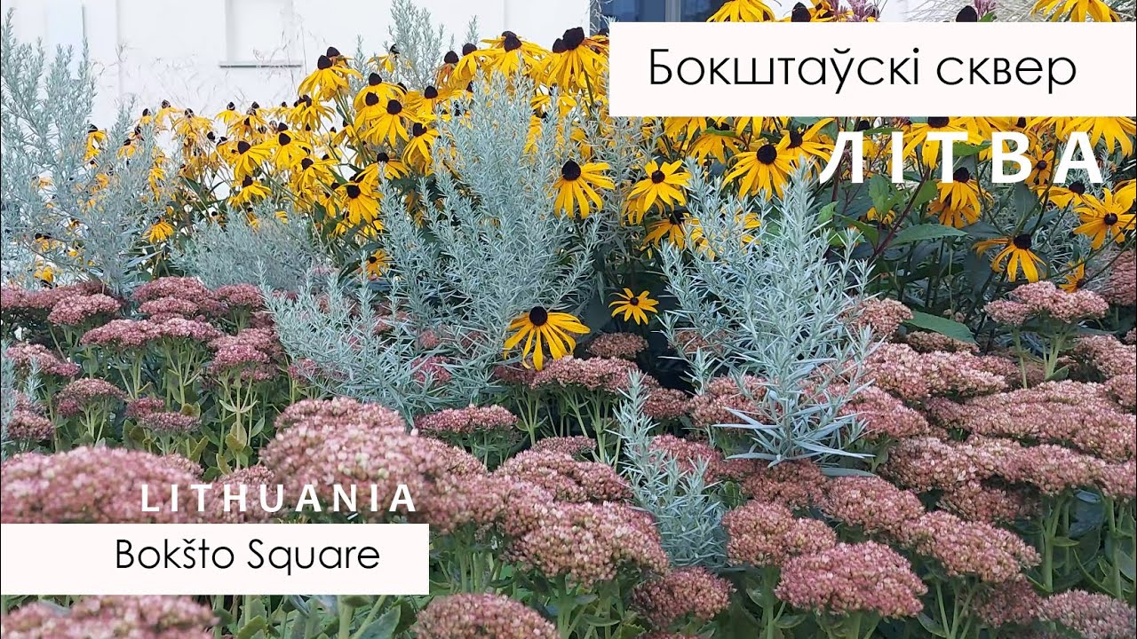 Сквер на вуліцы Бокшта / Bokšto Square (Vilnius, Lithuania) (SUB)