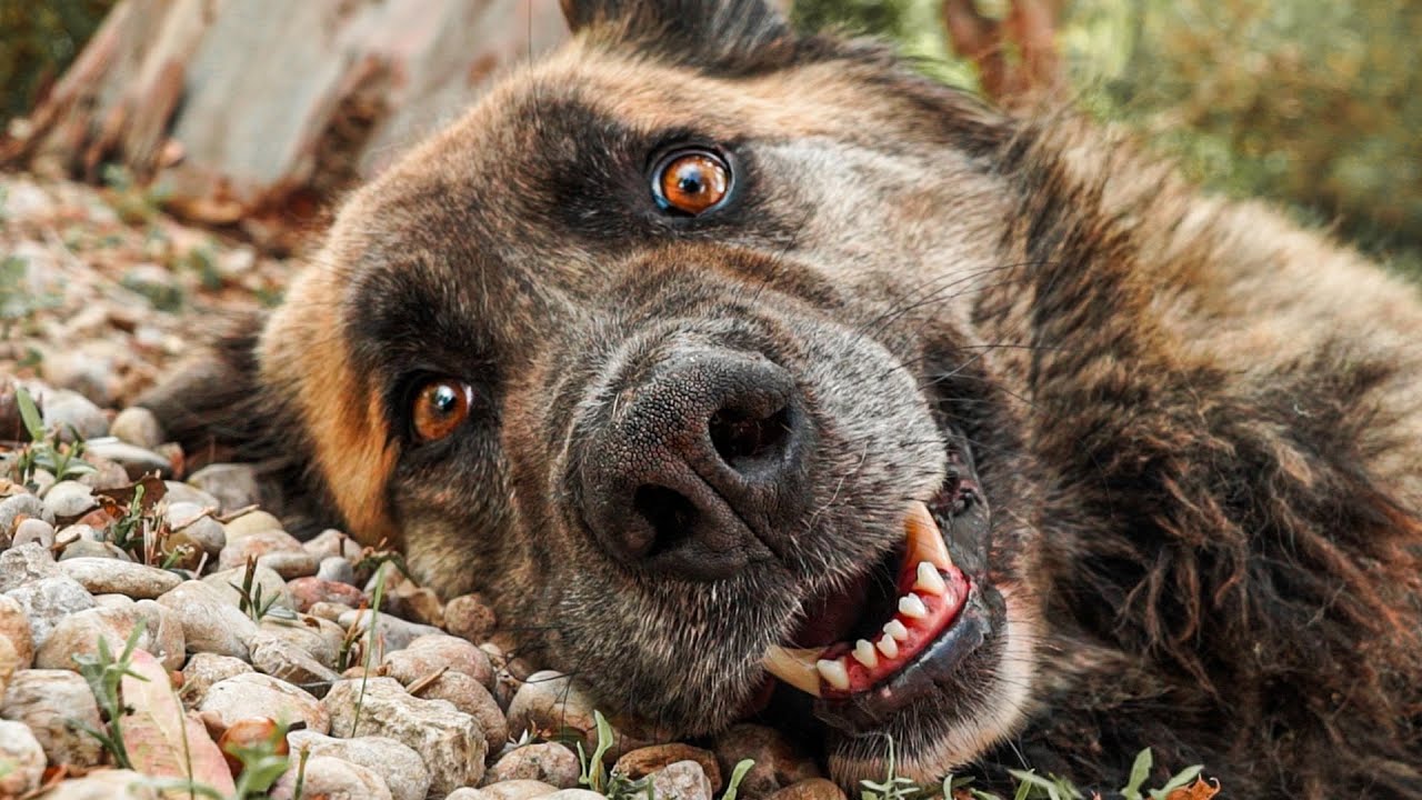 Hoy ha sido el mejor día de mi vida!