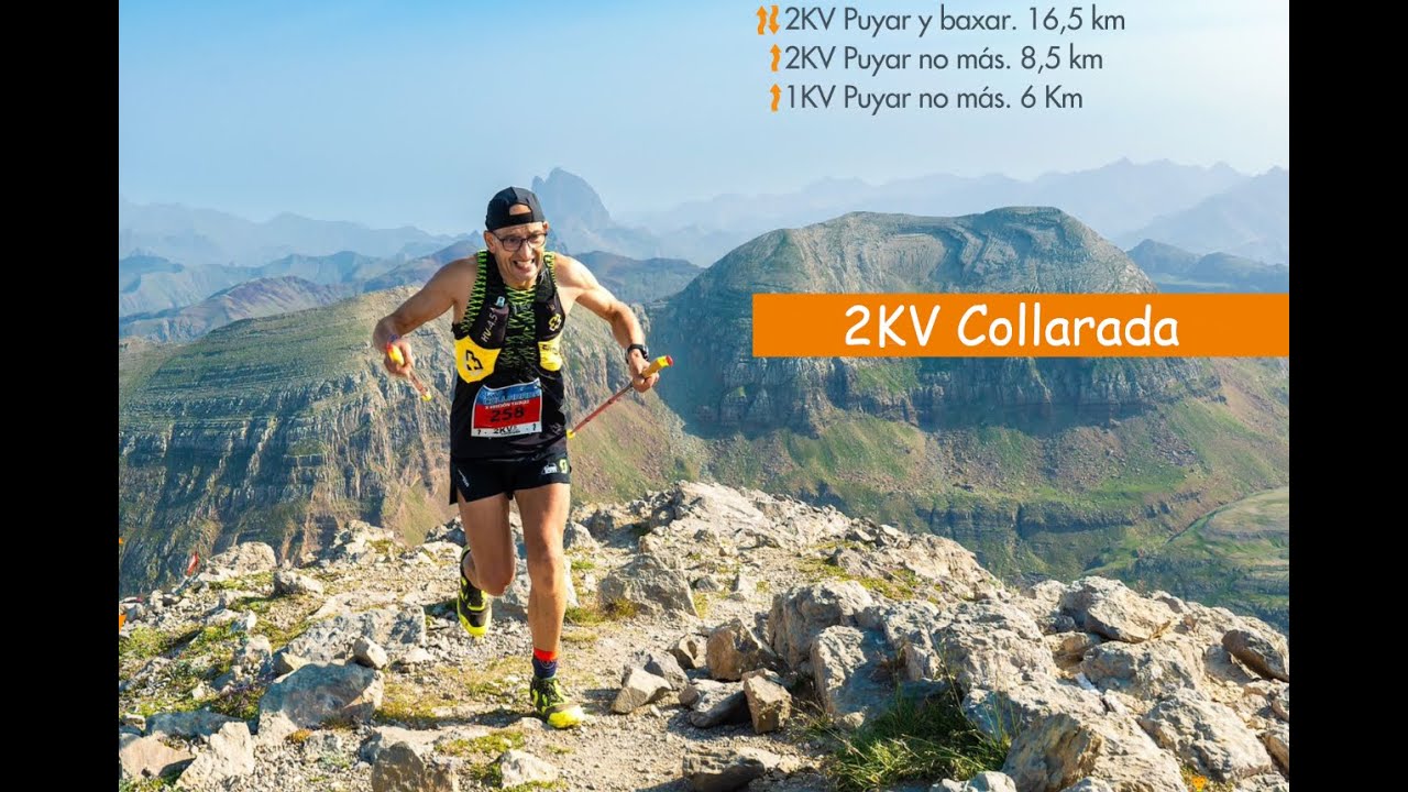 Promo Sietepicos 2KV Collarada