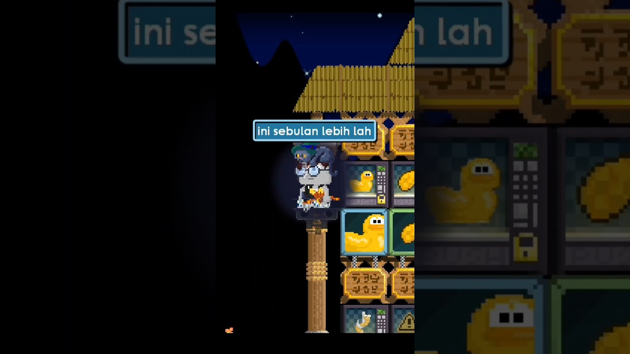 collect&sup2; buyduckseed