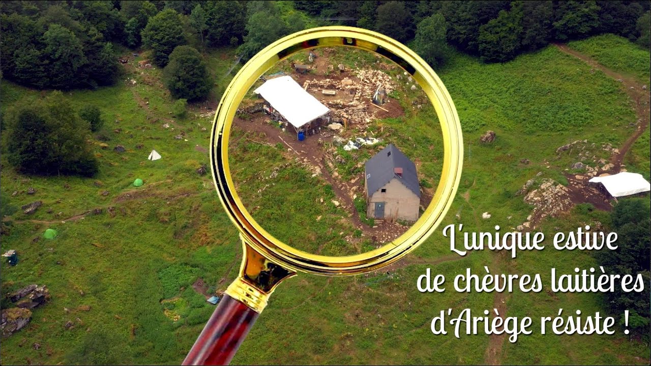 Soutenez la construction de la fromagerie de Luzurs !
