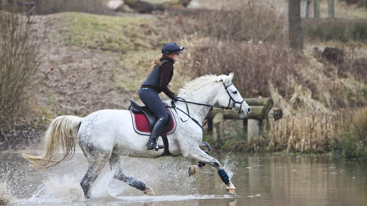 Geländetraining Reiterpark Süsel - 05.02.2017