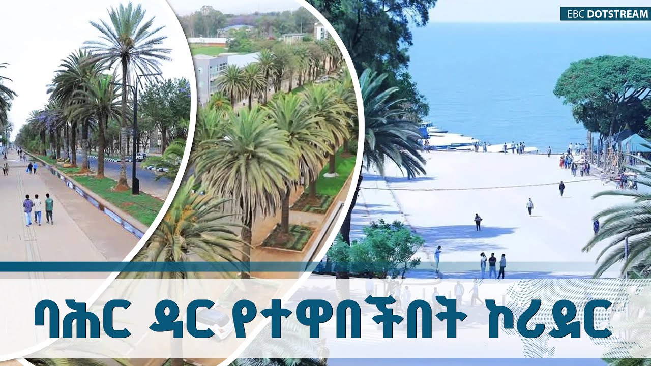 በባሕር ዳር ከተማ በተለያዩ ምዕራፎች የኮሪደር ልማት ሥራዎች ተጠናክረው ቀጥለዋል ETV | EBC | EBCDOTSTREAM