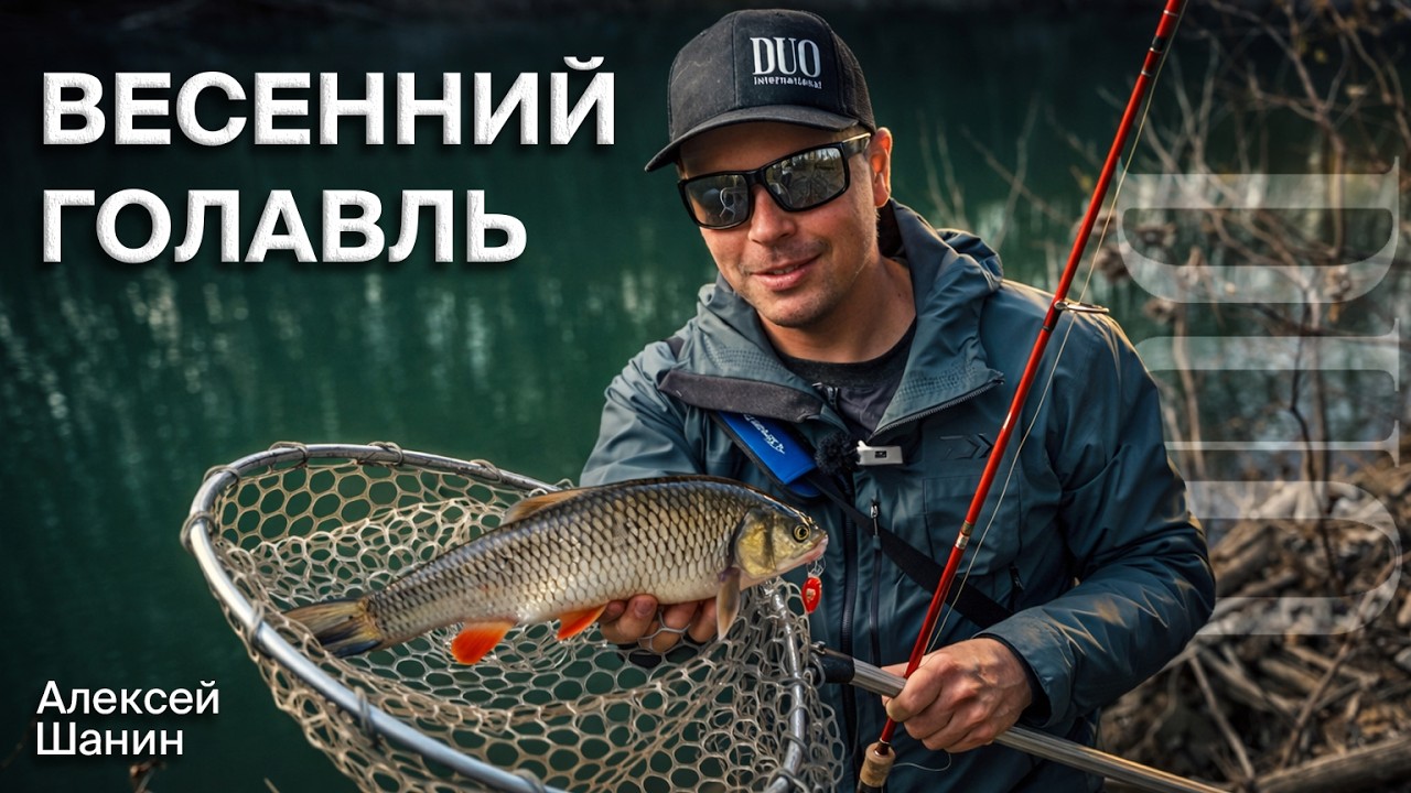 Алексей Шанин | Лучшие приманки для весеннего голавля