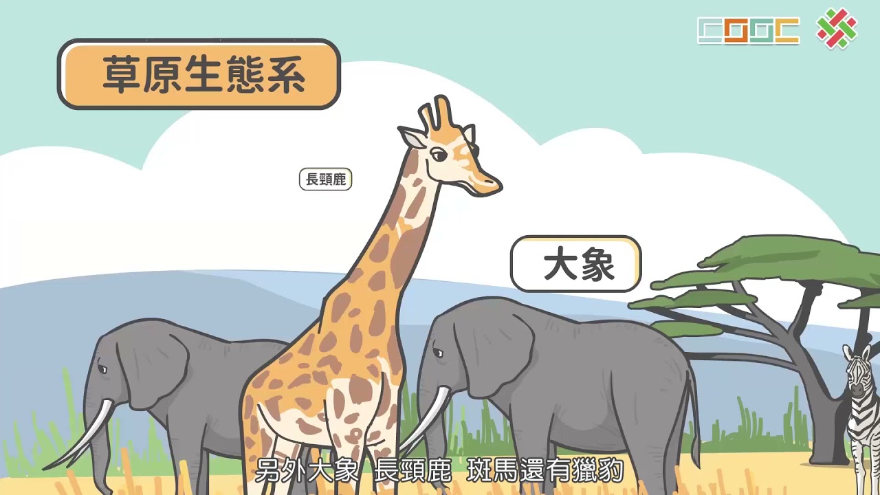 【觀念】生態系的類型-陸域生態系