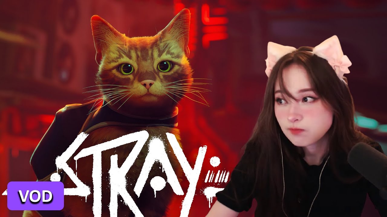 [08/03/2022] STRAY FINALE (NOT)