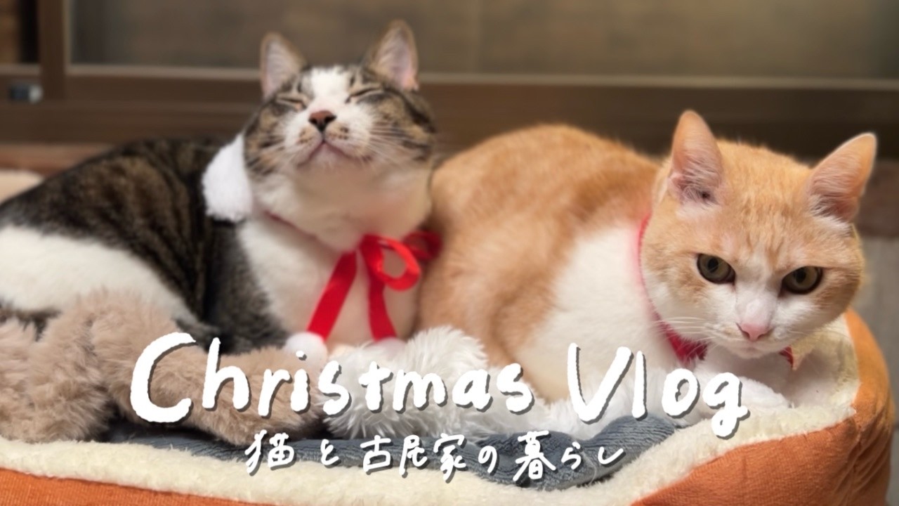 #18 猫と古民家で暮らす日常 【 クリスマス 、毛糸 、編み物 、料理  】  Christmas with Three Cats in an Old Japanese House｜#古民家暮らし