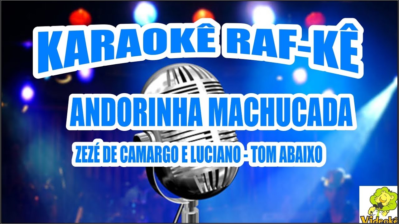 KARAOKÊ ANDORINHA MACHUCADA - ZEZÉ DE CAMARGO E LUCIANO - TOM ABAIXO - 01987