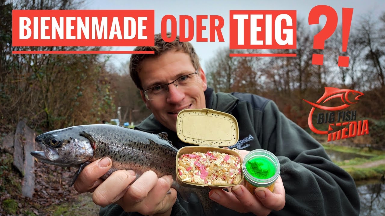 Einfach fangen am Forellensee: Mit Bienenmade und Teig aktiv angeln | Gregor & Ewald unterwegs