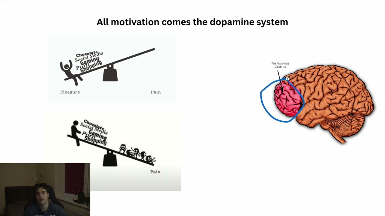 How dopamine detox will change your life