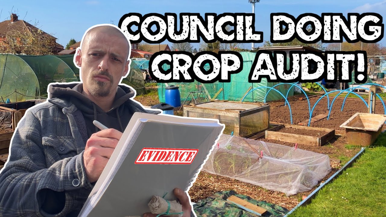 Council Asked Plot Holders For Photographic Evidence Of What Crops They Grow. But Why?