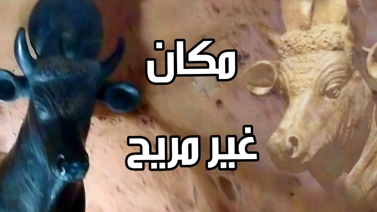 سرابيوم الأسكندرية - مكان مخيف وغير مريح