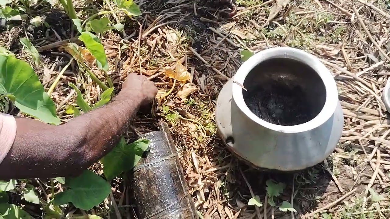 নতুন ভিডিও নিয়ে হাজির হলাম বন্ধুরা