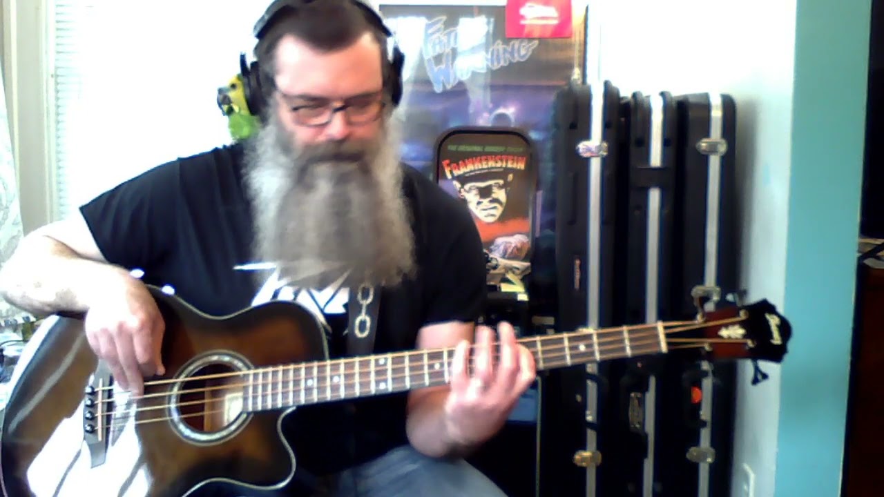 The Human Beinz - Nobody But Me (1968) bass cover