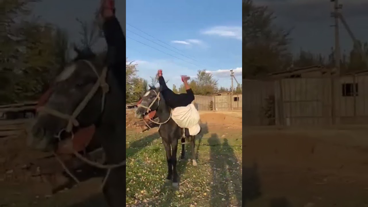 Ata nasıl binilir?