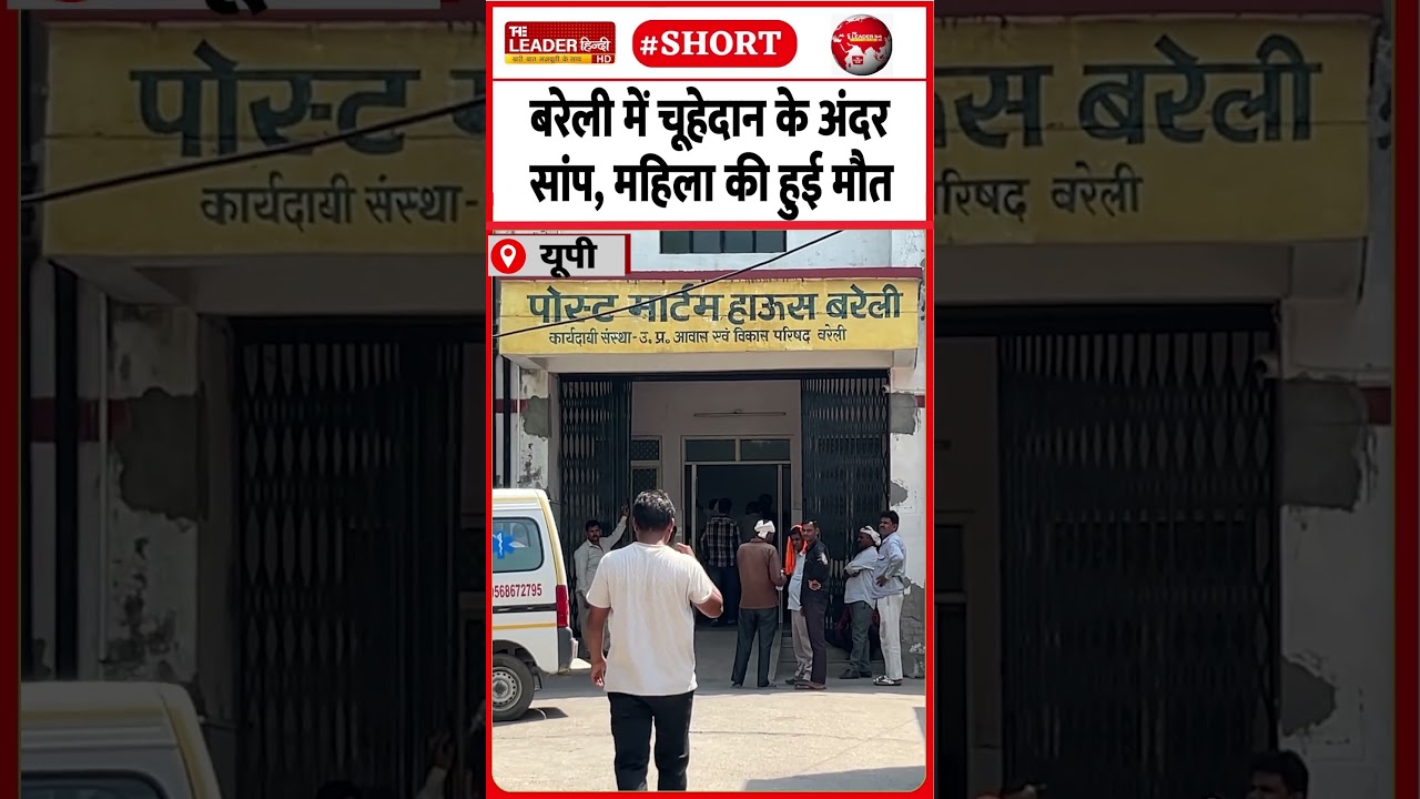 सांप की रौंगटे खड़े करने वाली घटना | 14 June 2026 | #bareilly #snake #bite #bareillynews #viralvideo
