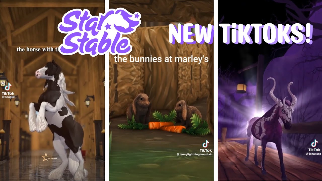 New Star Stable Tiktoks!🐴