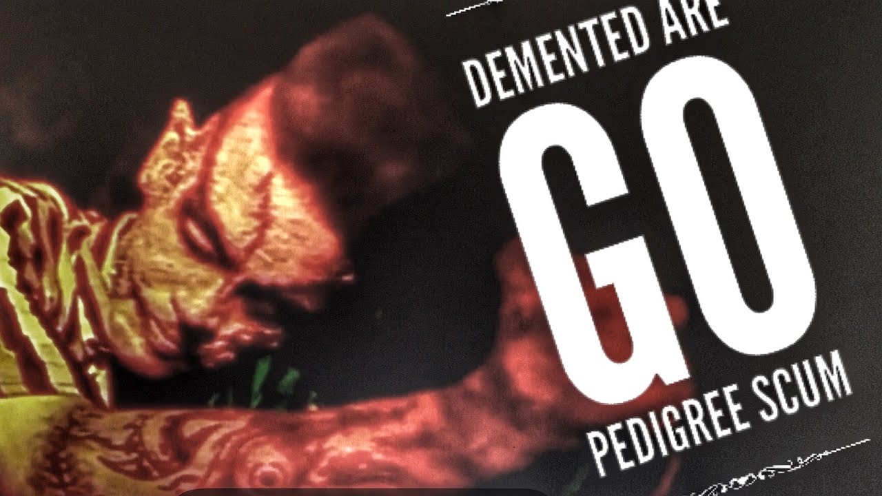 DEMENTED ARE GO - Pedigree Scum - LIVE at MONDO BIZARRO. Full Concert 2005