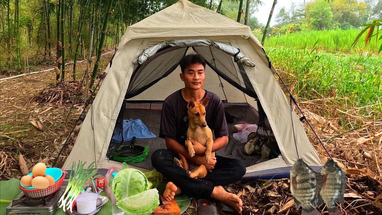 Camping in a bamboo forest | Cabbage with eggs tastes better than meat