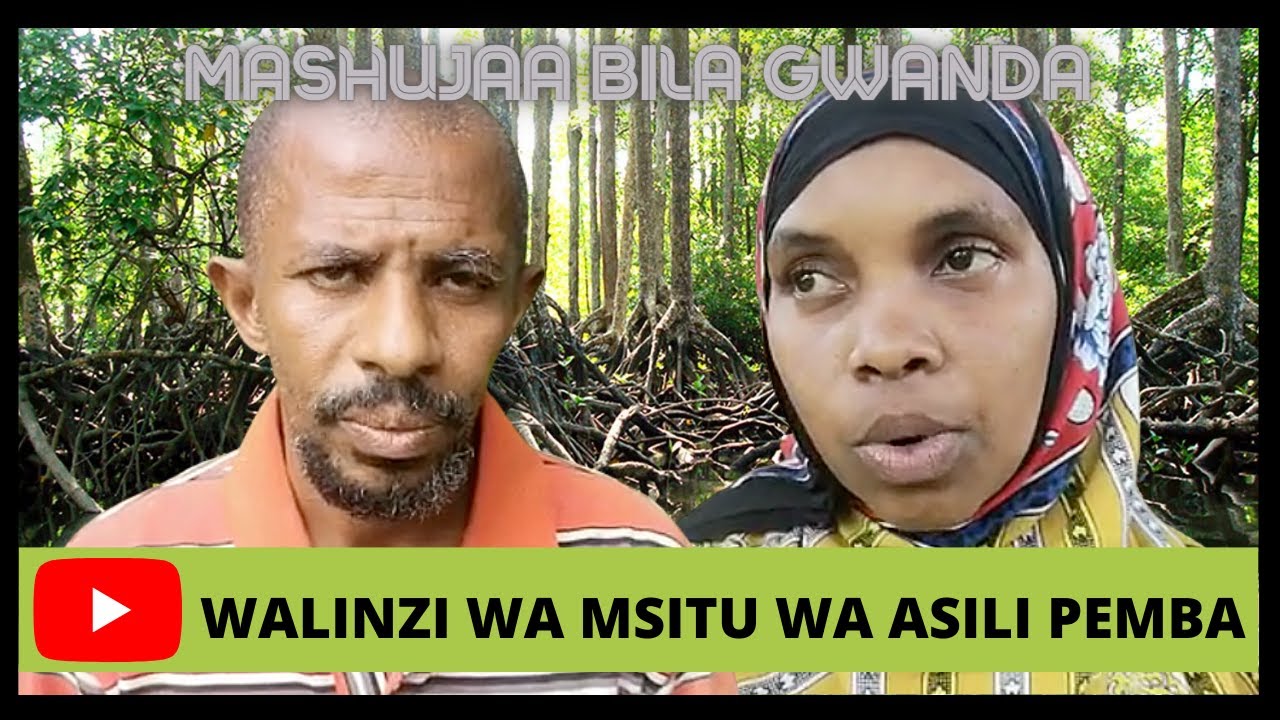 MASHUJAA BILA GWANDA: Kutana na Najma na Suleiman wanaolinda msitu wa asili kisiwani Pemba