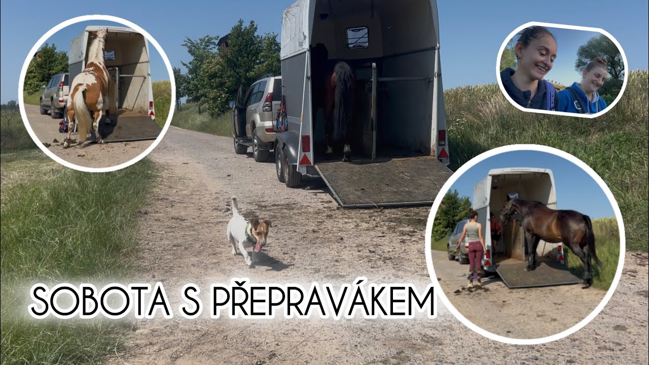 SOBOTA S PŘEPRAVNÍKEM ❤️ || VLOG || N&F SOULMATES