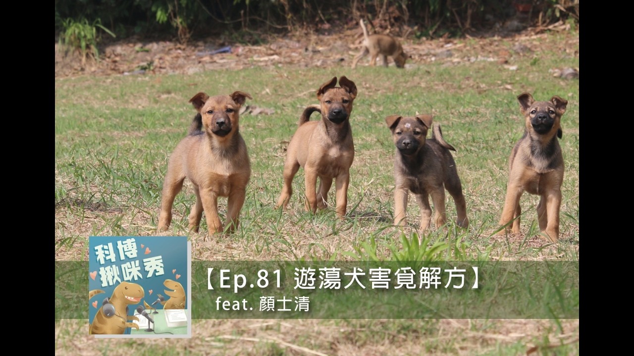 Ep.81 遊蕩犬害覓解方 feat. 顏士清 aka 動保野保平衡點