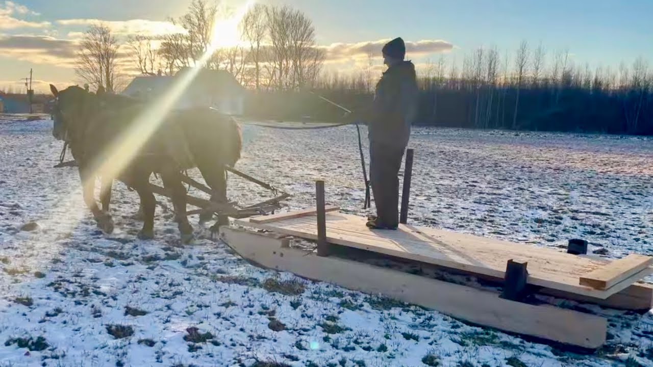 Making a BRAND NEW SCOOT for our Draft Horses... From Start to Finish!! #573