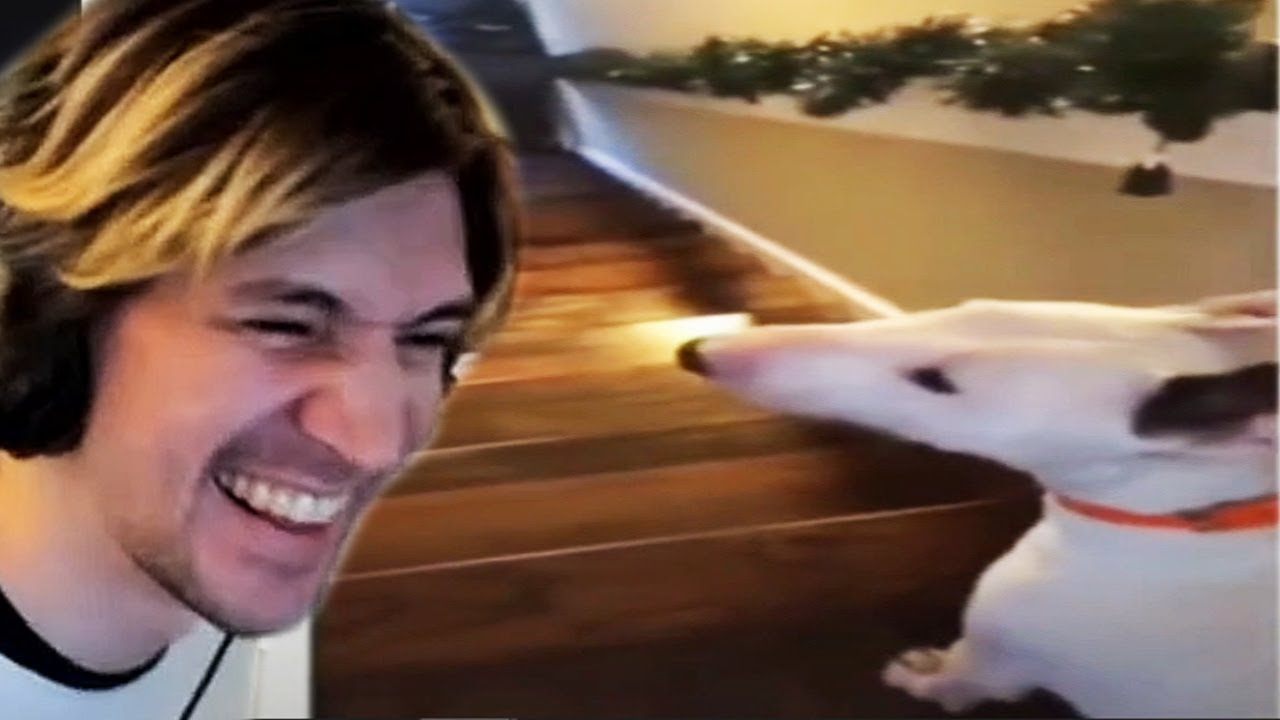 TIKTOKS THAT ACTUALLY MAKE YOU LAUGH