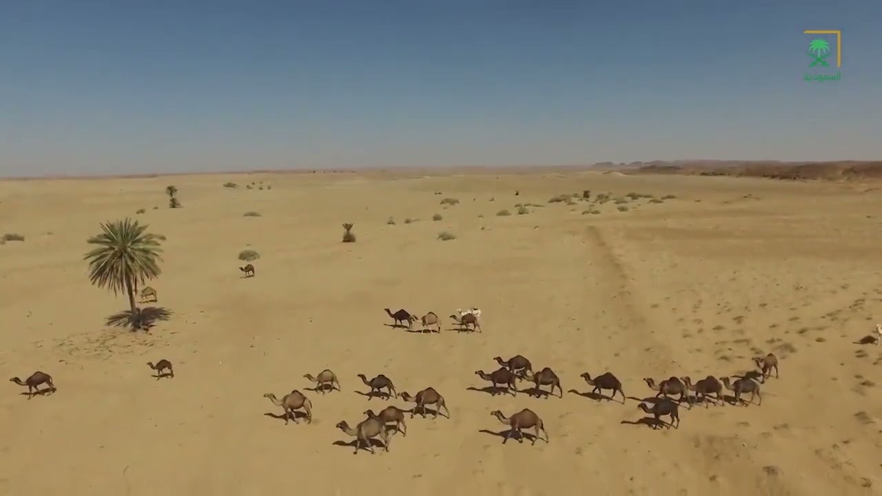 هجرة قبائل الأزد من جنوب الجزيرة العربية إلى شمالها تعد إحدى أكبر الهجرات التي مرت على التاريخ.